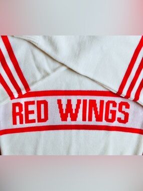 🔥 Vintage 1980s Cliff Engle Detroit Red Wings NHL Sweater Size M Like New Rare